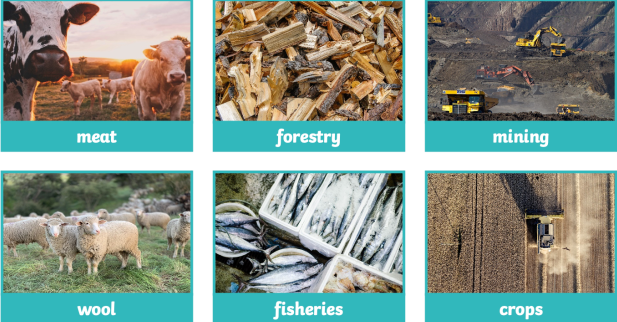 <p><span><mark data-color="unset" style="background-color: unset; color: inherit;"><span>the economic division that involves the extraction and harvesting of raw materials directly from the natural environment</span></mark><span>. This includes activities like agriculture, forestry, mining, and fishing.</span></span></p>