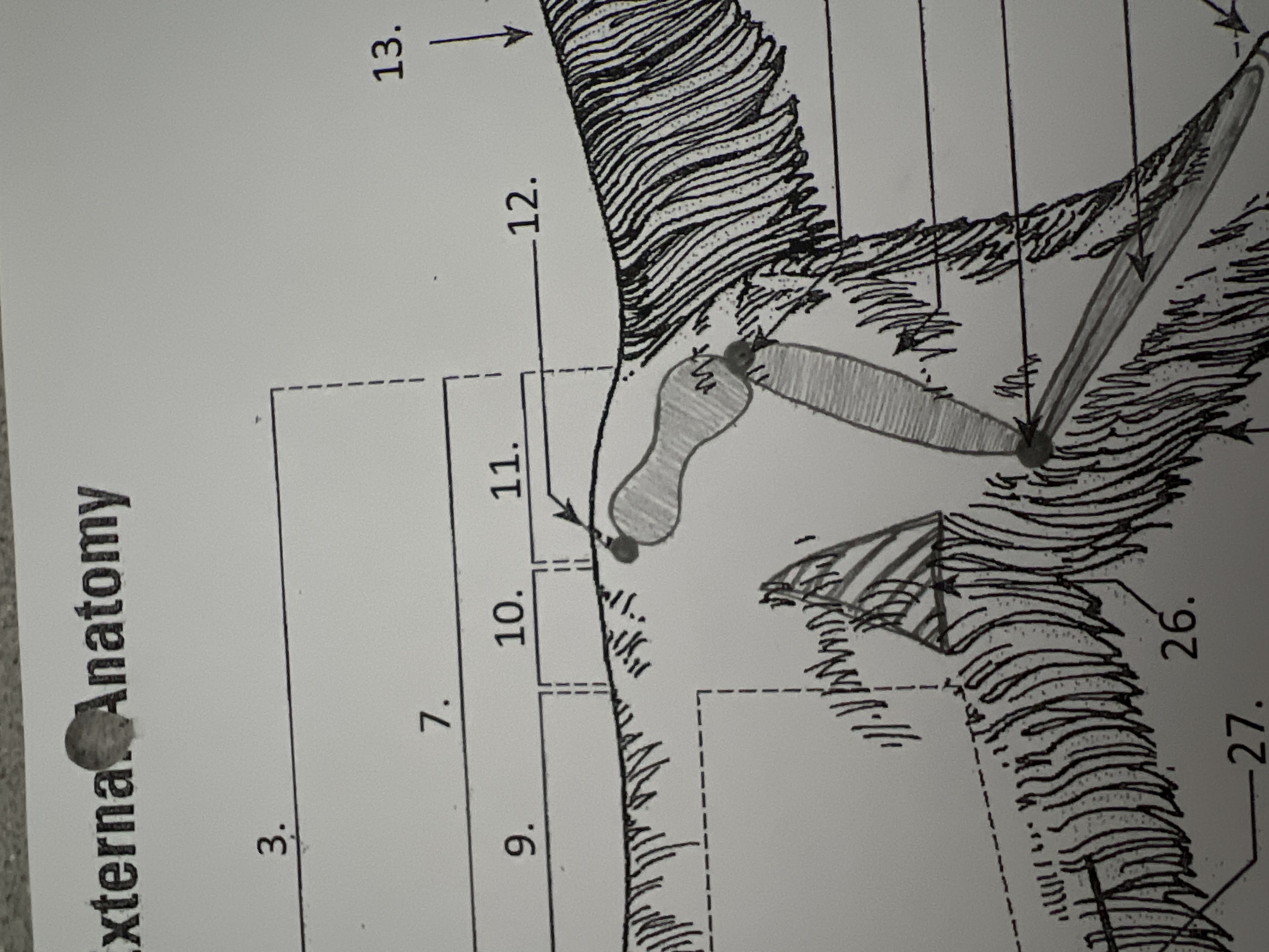 
11. \
