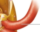 <p>what is this?</p>
