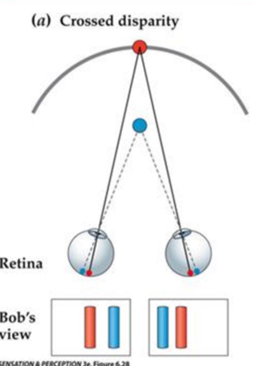 <p>image is closer than the horopter so images move to the temporal side</p>
