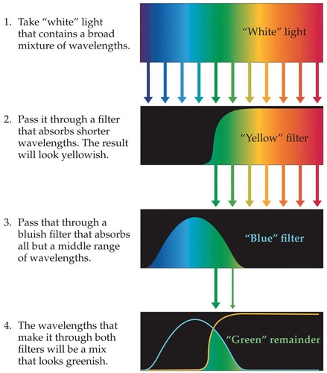 <p>A mixture of pigments.</p>