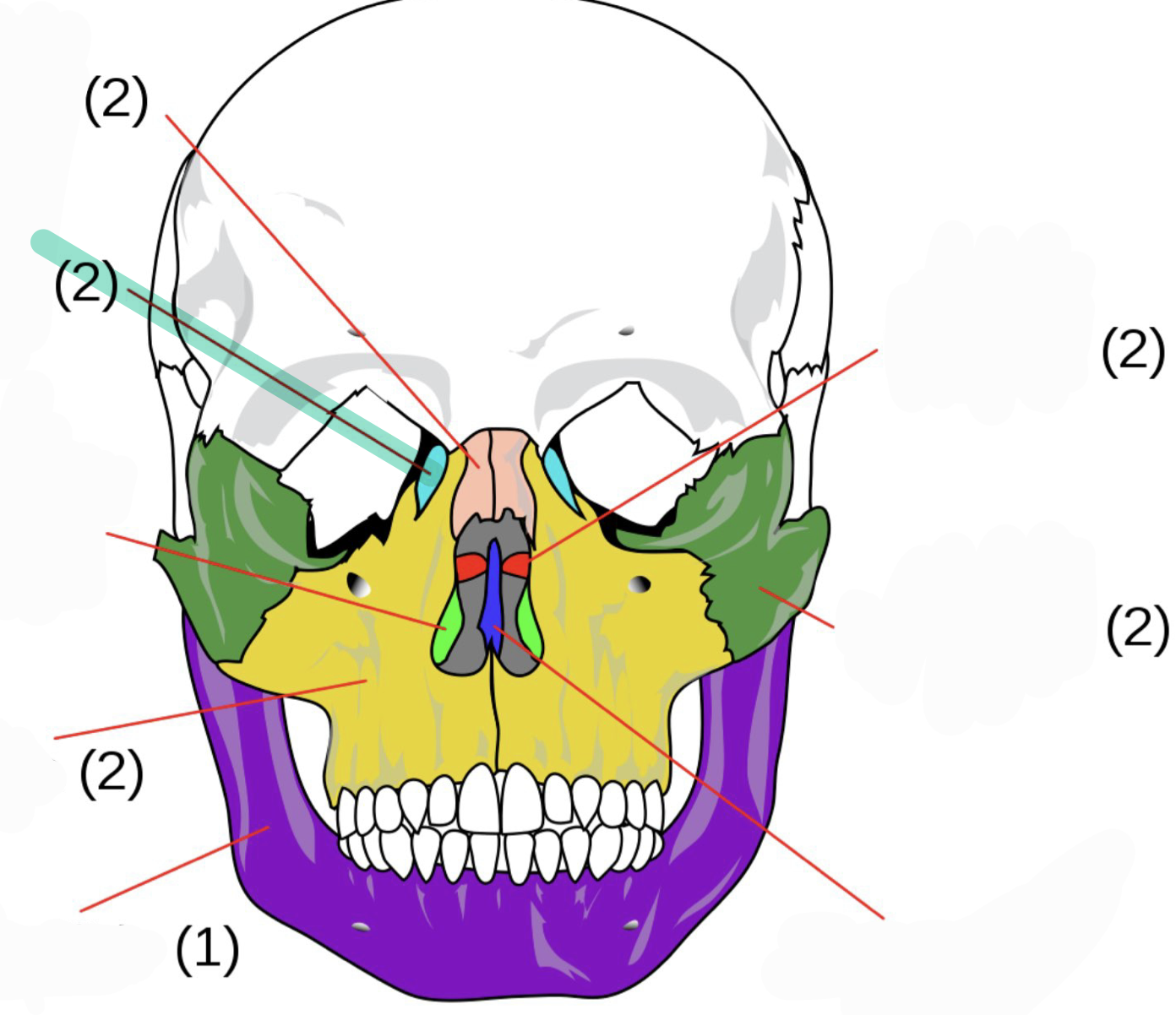 knowt flashcard image
