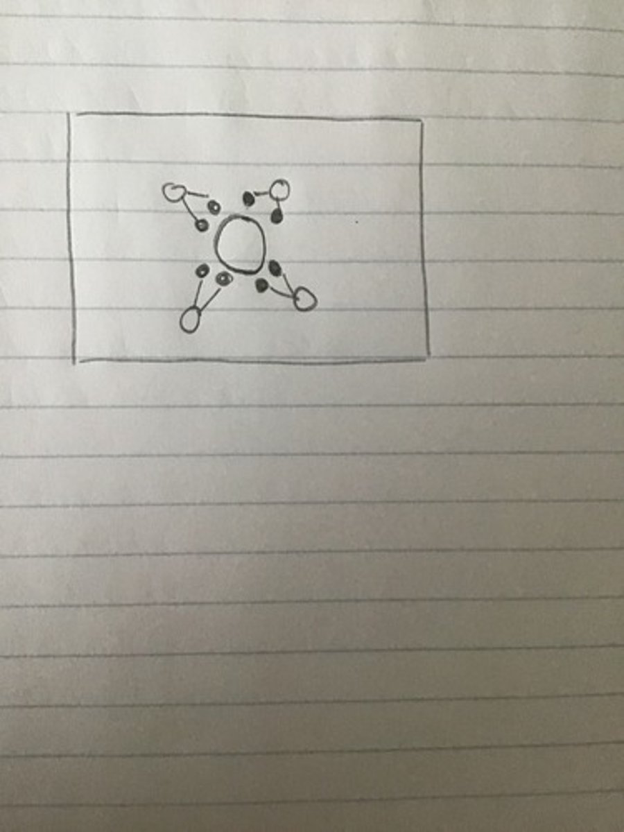 <p>The particle is negative and produces ion dipole attractions with the hydrogen atoms in water.</p>