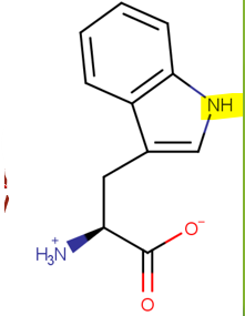 <p>Odd Ball (6)</p><p>NonPolar</p><p>Can H-Bond to water (Polar)</p><p>Mainly Hydrophobic (NonPolar)  </p>