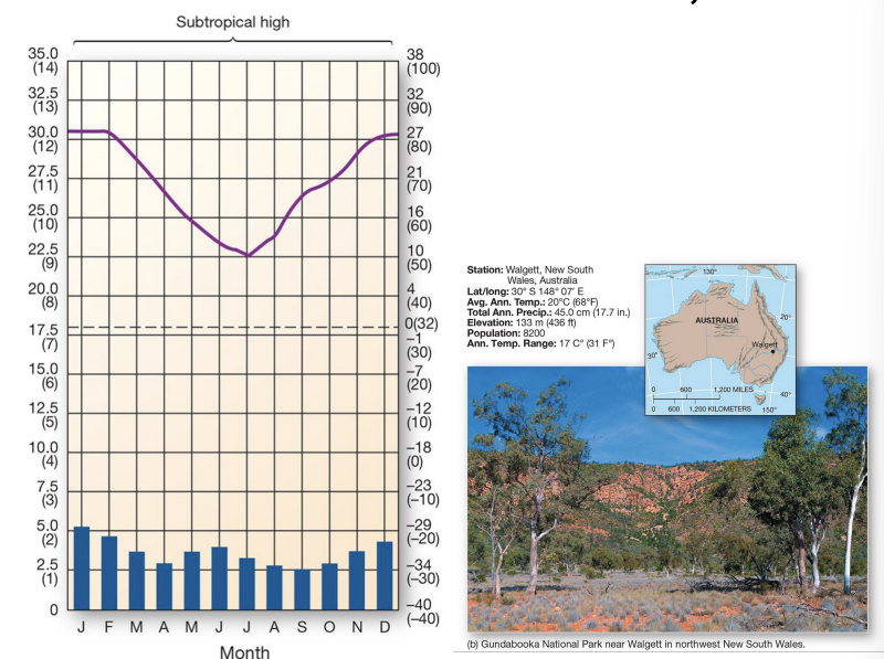 <p>what is an example of a <strong>Bs </strong>climate?</p>