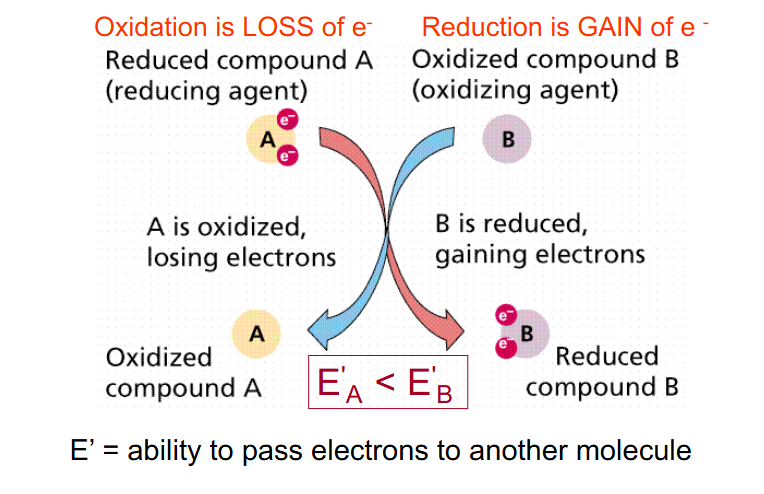 <p>Redox Potential</p>