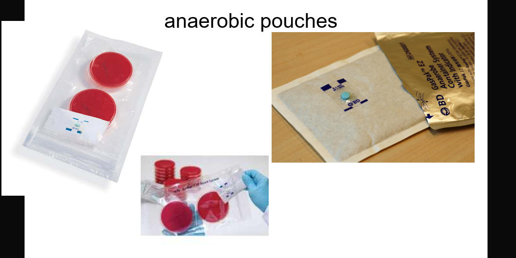 <p>Anaerobic jars</p>