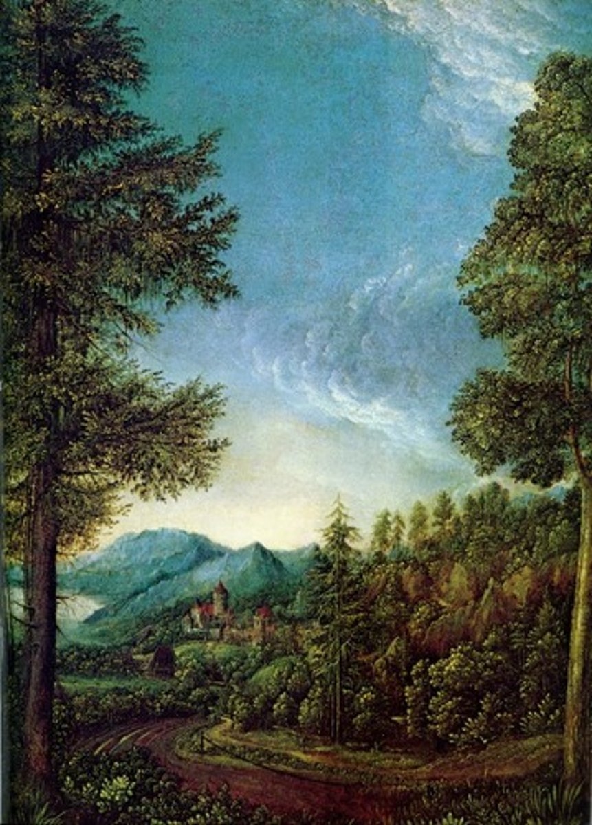 <p>Image</p>