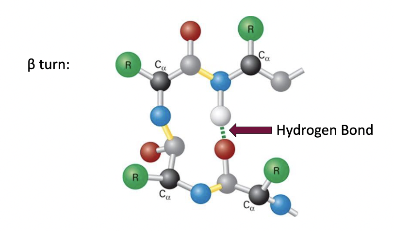 * involves 3 or 4 acid residues and is often found connecting the strands of beta sheets