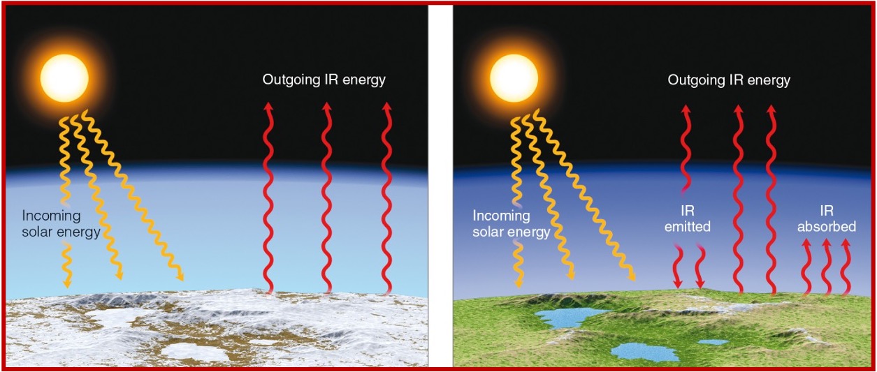 <ul><li><p class="Paragraph SCXO48034239 BCX0" style="text-align: left;"><span style="background-color: inherit; line-height: 22px; color: windowtext;"><span>greenhouse gases allow solar radiation to pass through, but they </span><strong><span>absorb infrared radiation</span></strong><span> from earth</span></span><span style="line-height: 22px; color: windowtext;"><span>&nbsp;</span></span></p></li><li><p class="Paragraph SCXO48034239 BCX0" style="text-align: left;"><span style="background-color: inherit; line-height: 22px; color: windowtext;"><span>Gases don’t allow heat to leave</span></span></p></li></ul><p></p>