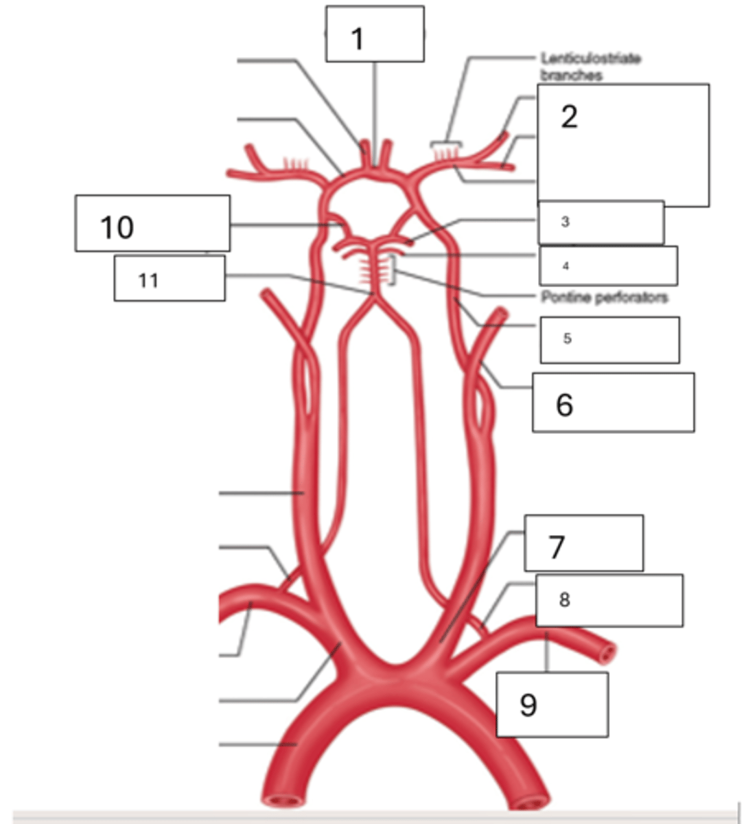 <p>1</p>