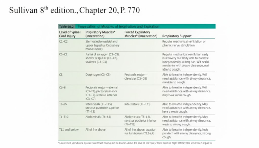 <ul><li><p>C</p></li></ul><p></p>