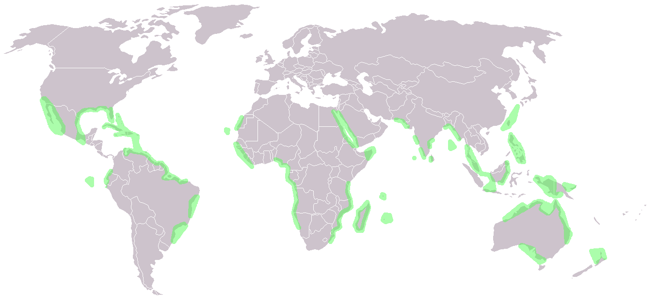 a map showing where mangroves are found