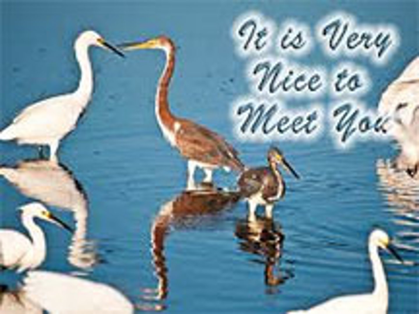 <p>(Very) nice to meet you</p>