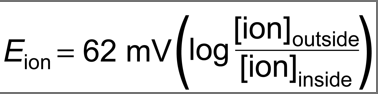 <p>The membrane voltage for a particular ion at equilibrium. Can be calculated using the Nernst equation. For K+, it is -90mv, though in reality it’s between 60-80 due to a small amount of Na+ diffusion</p>