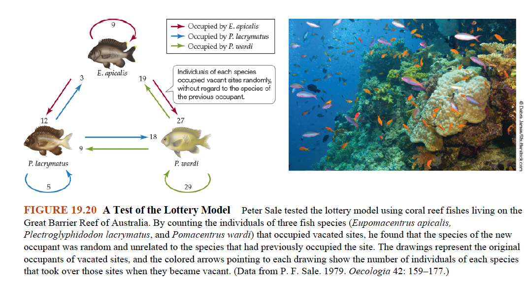 <p style="text-align: left"></p><p style="text-align: left"><strong>Peter Sale’s Coral Reef Fish Lottery Model Test (Figure 19.20)</strong></p>