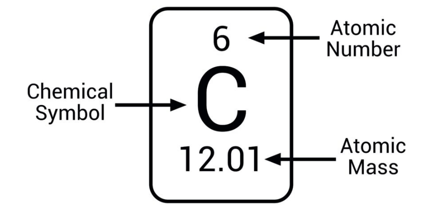 <p>Carbon has 6 protons </p>