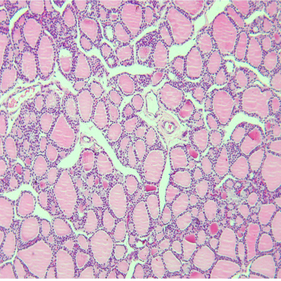 <p>identify </p><p>mention one site</p>