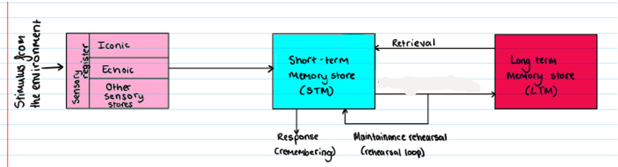 <p><strong>Multi Store Model</strong></p><p>What is missing?</p>