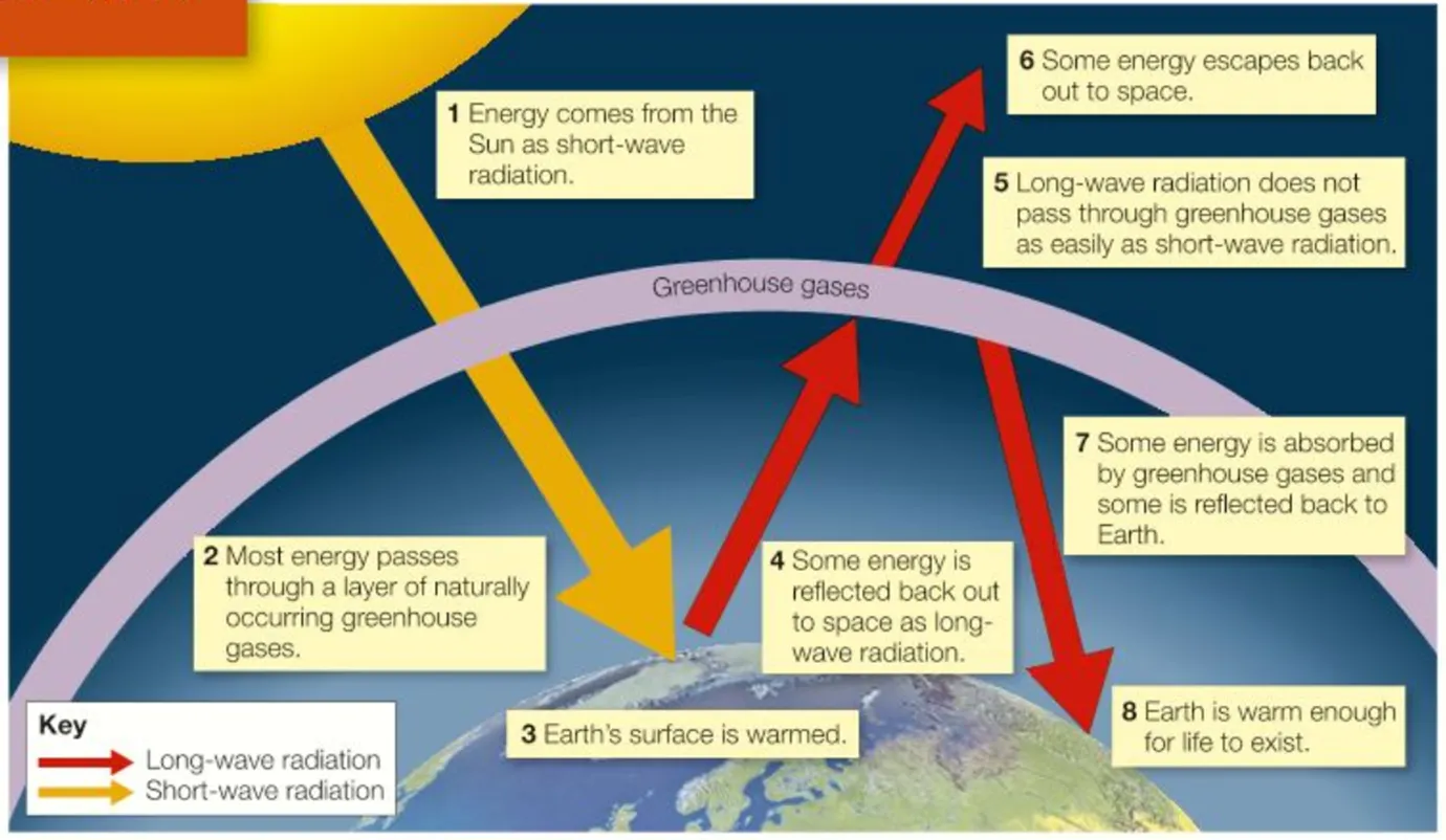 <p>a natural process that keeps the earth warm enough to support life. greenhouse gasses trap the sun’s energy to keep the earth warm</p>