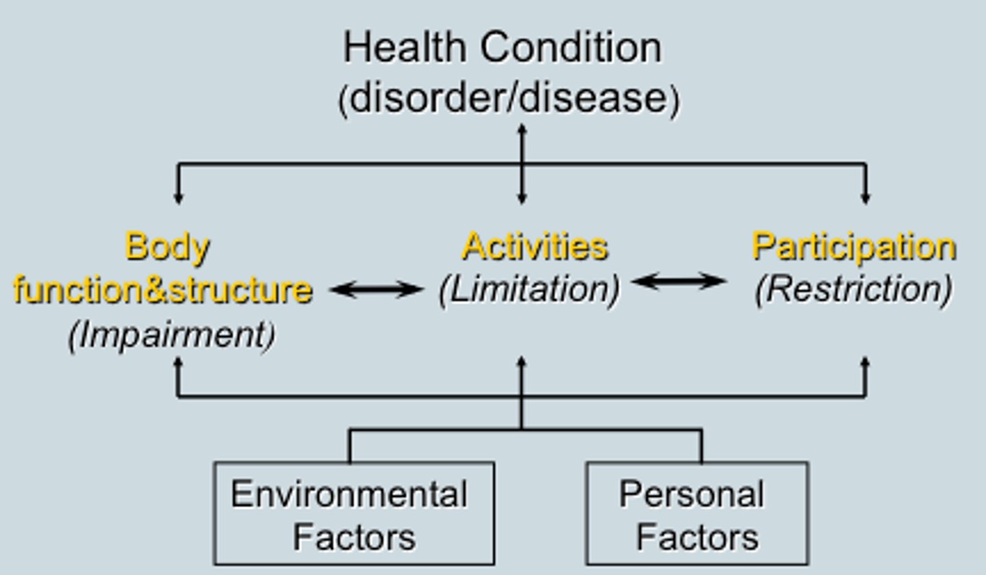 <p><strong>part 1= functioning and disability</strong> </p><p>-body functions and structures</p><p>-activities and participation </p><p></p><p><strong>part 2= contextual factors </strong></p><p>-environmental factors </p><p>-personal factors </p>