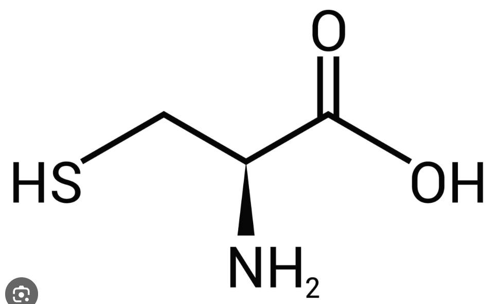 <p>What amino acid is this?</p>