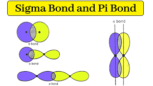 <p>When the tips of 2 orbitals directly overlap</p>