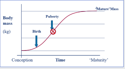 <p>body condition and puberty</p>