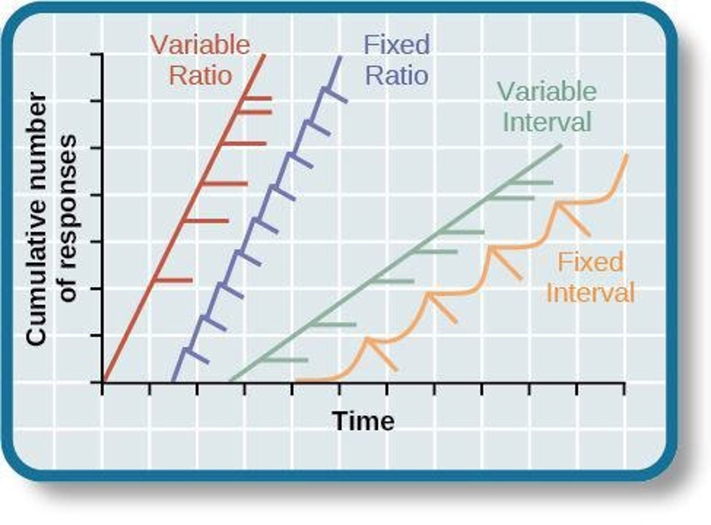 <p>A coffee shop punch card system where customers earn a free coffee after purchasing ten coffees.</p>
