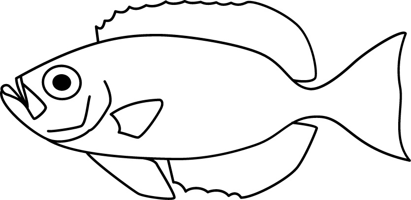 <p>Very big eyes<br>Size: 30 cm</p>