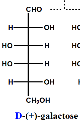 <p>D-Galactose (Gal)</p>