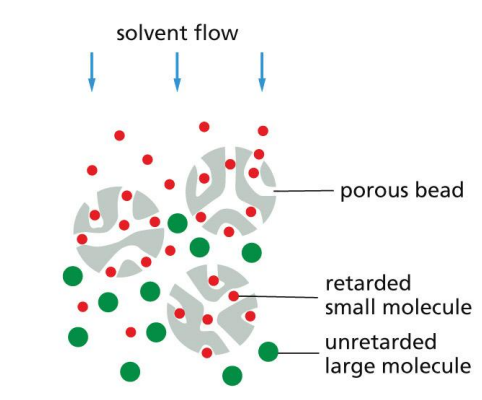 <p>Inert porous beads form the matrix.</p><p>Beads of cross-linked polysaccharide (dextran, agarose, or acrylamide) are available commercially in a wide range of pore sizes.</p>