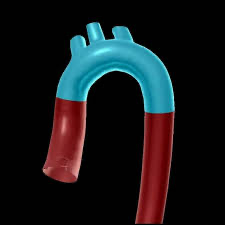 <p><span>Name this structure</span></p>