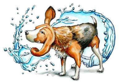 <p>Animal Shakes</p>