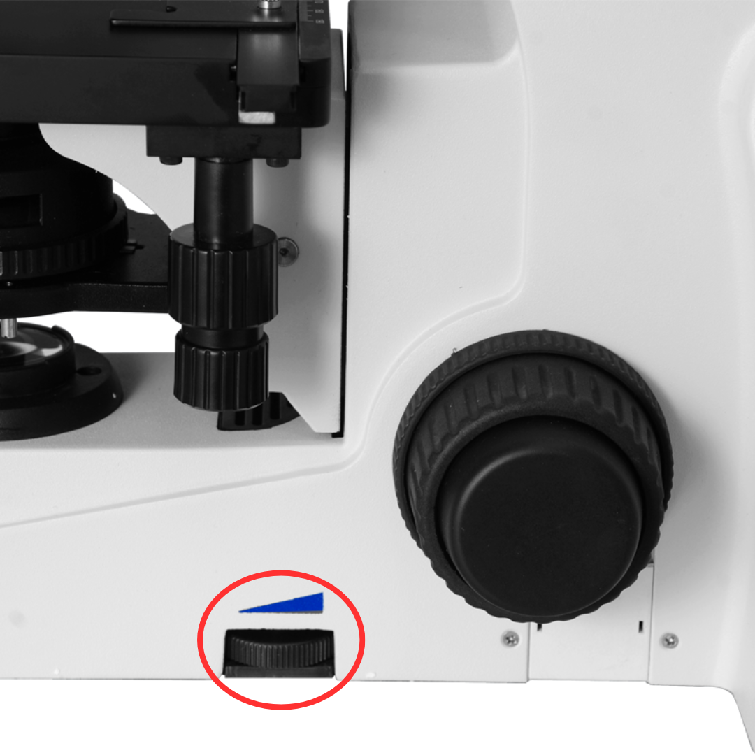 <p>It is used to adjust the light intensity, making the specimen easier to view by making the illumination brighter or dimmer.</p>