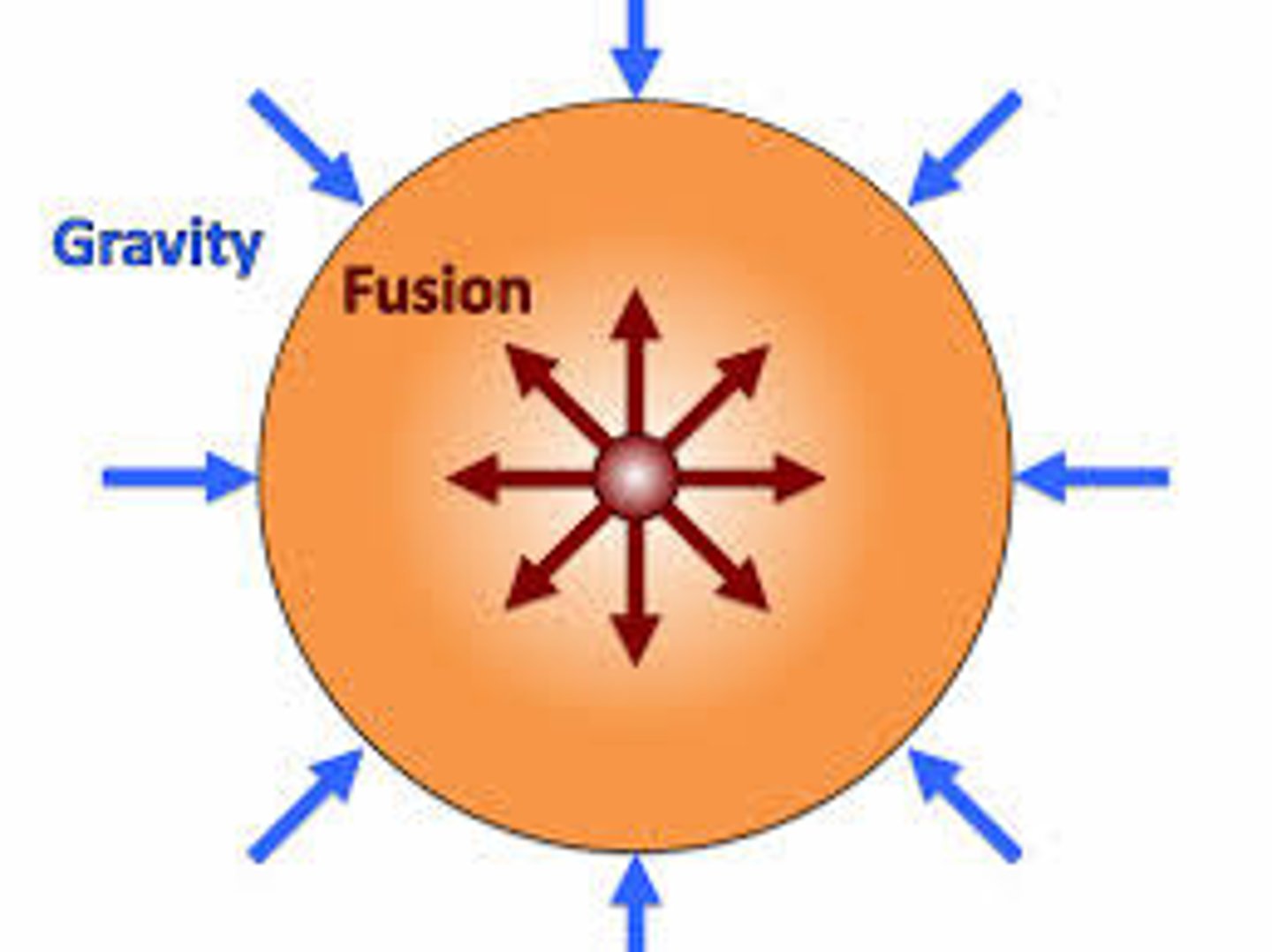 <p>The forces of gravity condensing the star and the force of the radiation expanding the star are balanced</p>