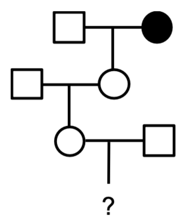 <p> The grandmother of III-1 was affected with an X-linked recessive disorder. While serving in the Peace Corps after college, III-1 met and married the square of her dreams, III-2. What is the probability that III-1 is a carrier of the mutant allele?</p><ul><li><p>1/4</p></li><li><p>1/3</p></li><li><p>1/2</p></li><li><p> 2/3</p></li><li><p>3/4</p></li></ul><p></p>