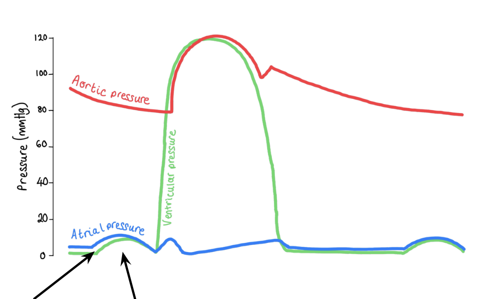 <p>explain what happens on this part of the graph</p>