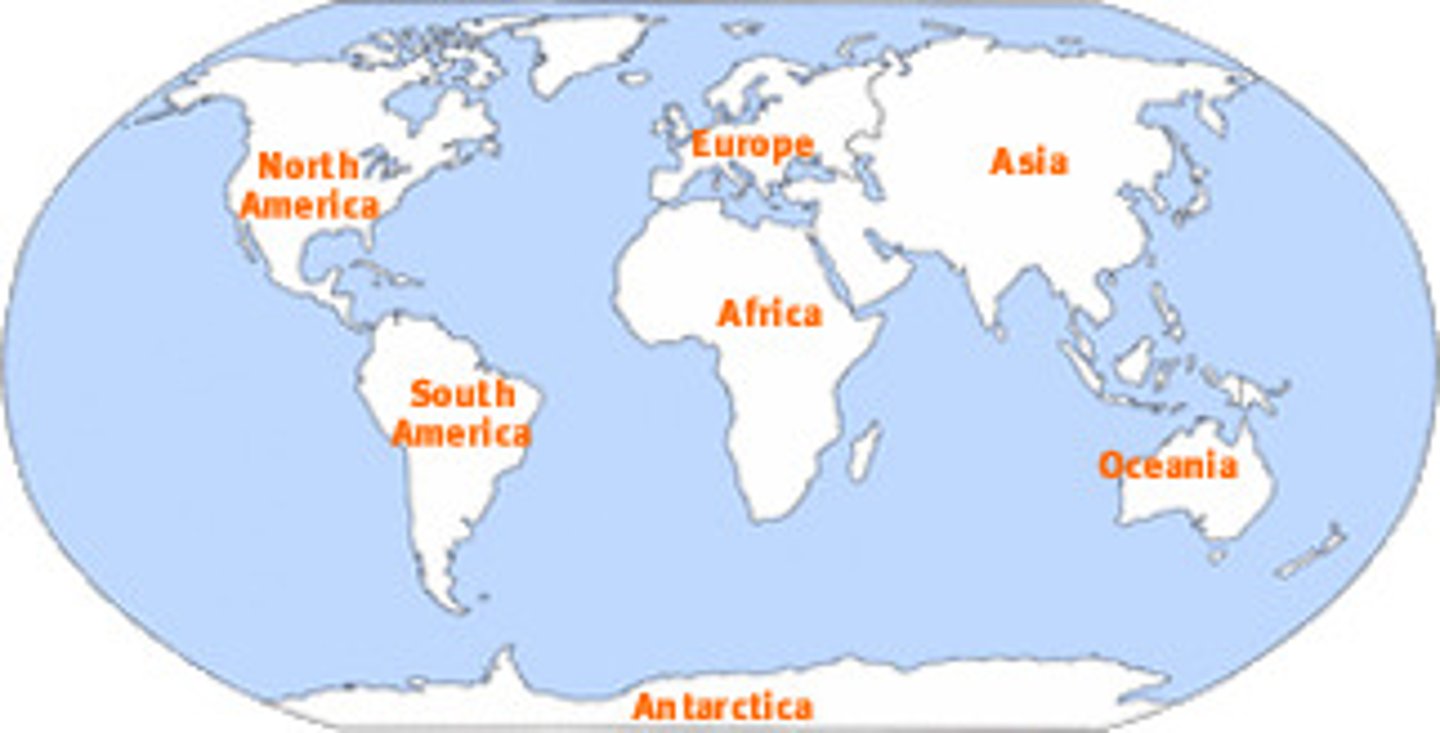 <p>Large pieces of land that cover parts of the Earth: Asia, Europe, Africa, North America, South America, Australia, and Antarctica.</p>