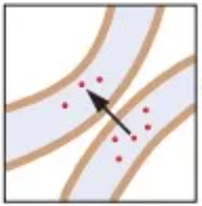 <p>dendrites send messages to other dendrites</p>