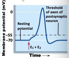 <p>what is this an image of?</p>