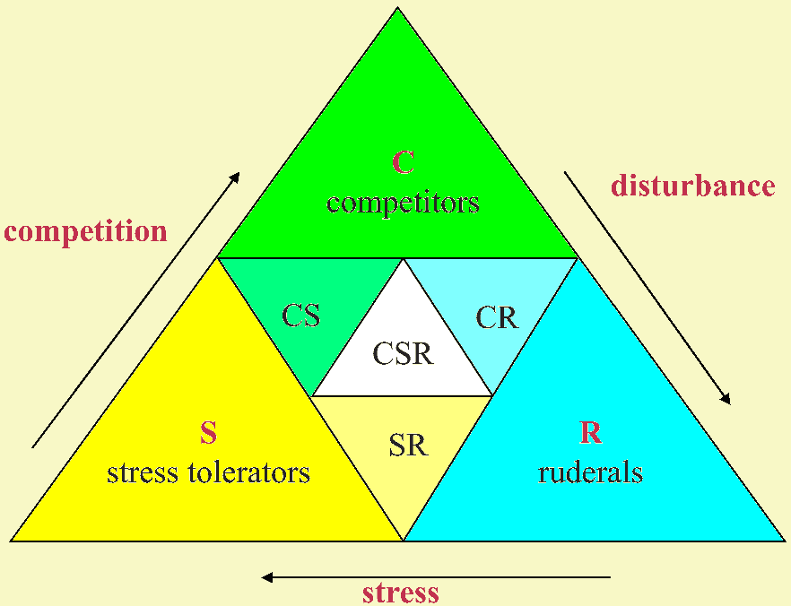 <p>condities die de plantengroei en productiviteit beperken</p>