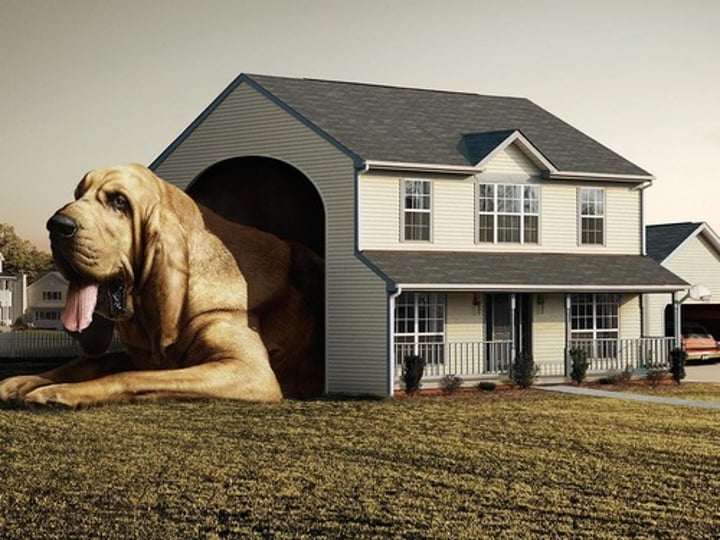 <p>big</p>