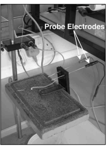 <ul><li><p>adjust probe to record <strong>extracellularly </strong>from <strong>specific places </strong> in the heart</p><ul><li><p>→ to identify different components of the pin electrode recording</p></li></ul></li><li><p>Probe set up at input 3 via bridge amplifier</p></li></ul><p></p>