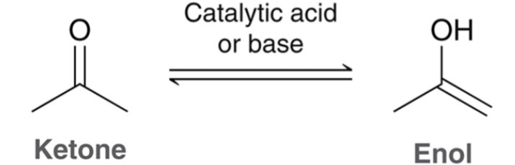 <p>exist in equilibrium with an enol.</p>