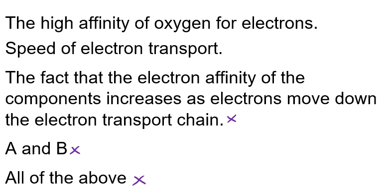 <p>What determines the Rate of O2 consumption?</p>