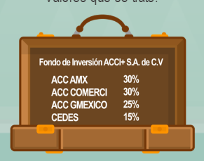 <p>Los FI se pueden especializar siempre y cuando mantengan invirtiendo al menos el 80% en los valores que se trate. (En la imagen se ve un ejemplo).</p><p>El FI ACCI+ es un FIRV especializado en Renta Variable ya que posee un 85% de su Cartera invertido en acciones. </p>