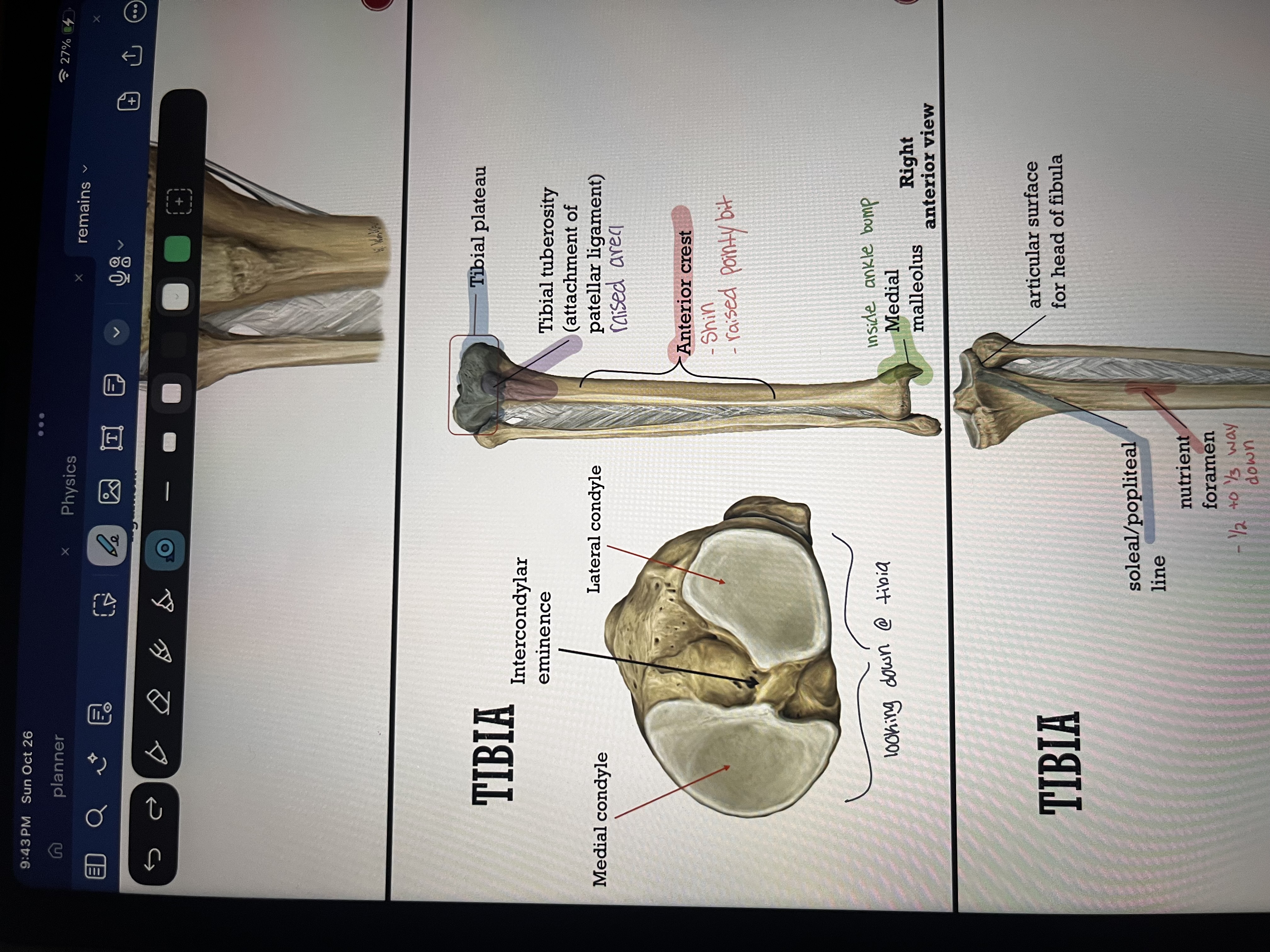 knowt flashcard image