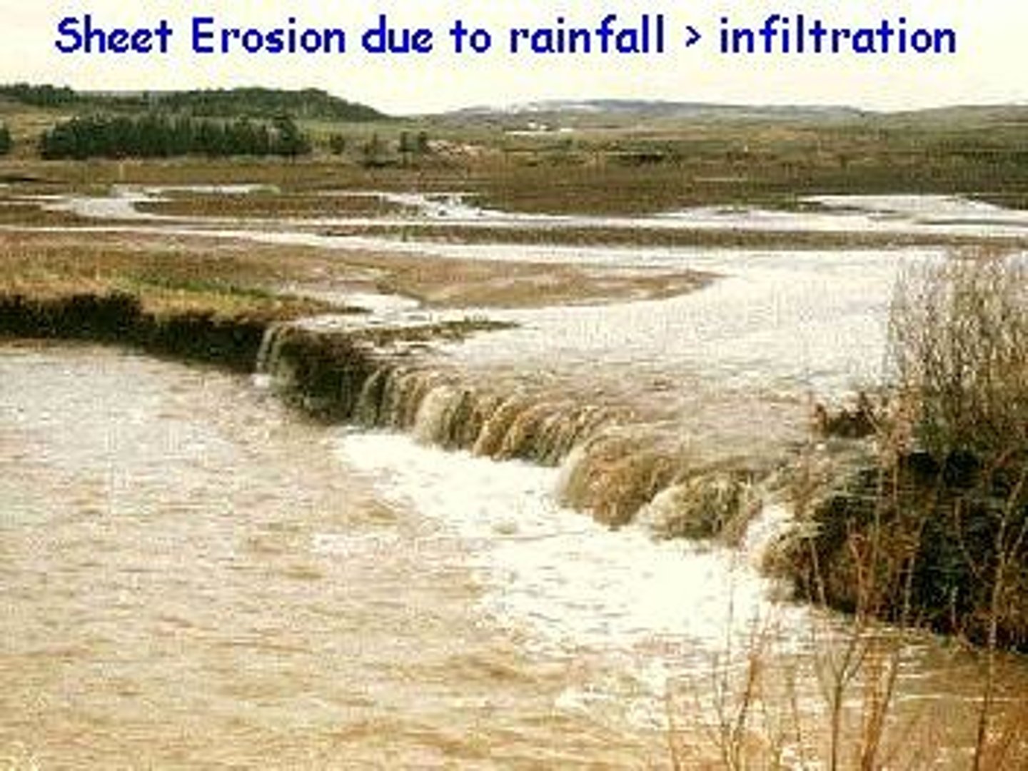 <p>= a uniform layer of soil is removed without producing water channels<br><br>... caused by the uprooting of root systems by agricultural machinery that are then eroded naturally by rain/wind<br><br><br>Solutions:<br><br>- Careful monitoring of soil heights over time<br>- Early detection<br>- No-till agriculture to maintain organic matter in upper soil levels</p>