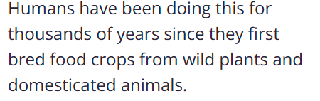 <p><span>the process by which humans breed plants and animals for particular genetic characteristics.</span></p>